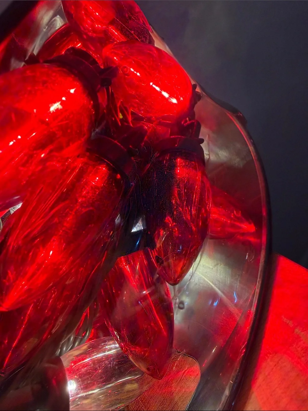 Red/Warm White C9 LED Lights - 100 Count